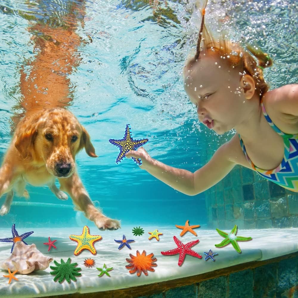 Diving Pool Toys Colorful Star - Aquatic Diving avis et prix